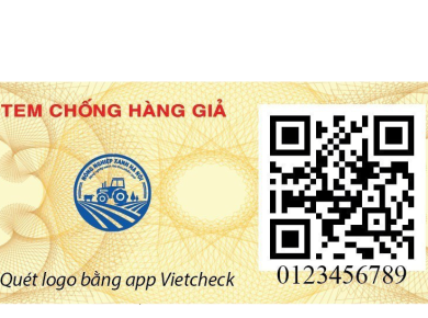 Cấu trúc tem chống giả có bao nhiêu lớp bảo mật