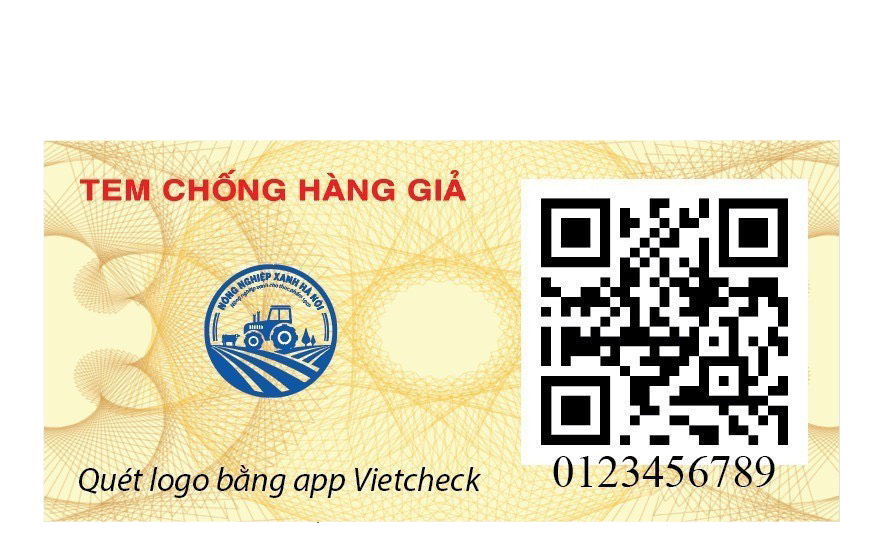 Cấu trúc tem chống giả có bao nhiêu lớp bảo mật