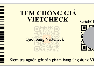 In tem chống giả ở đâu?